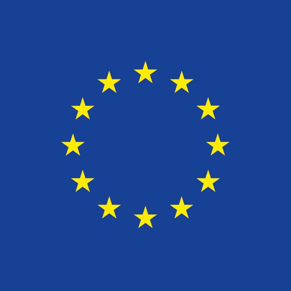 Square EU Flag