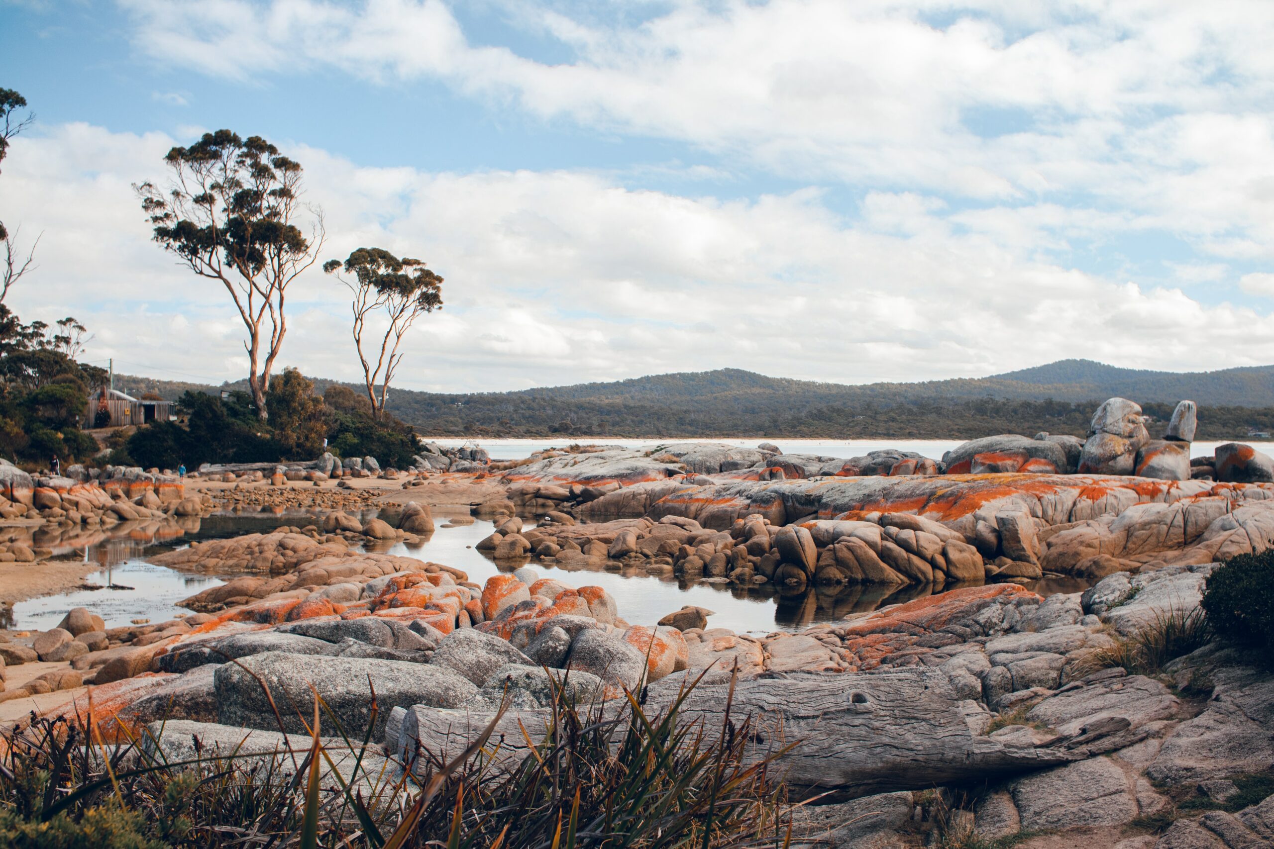 Tasmania Australia